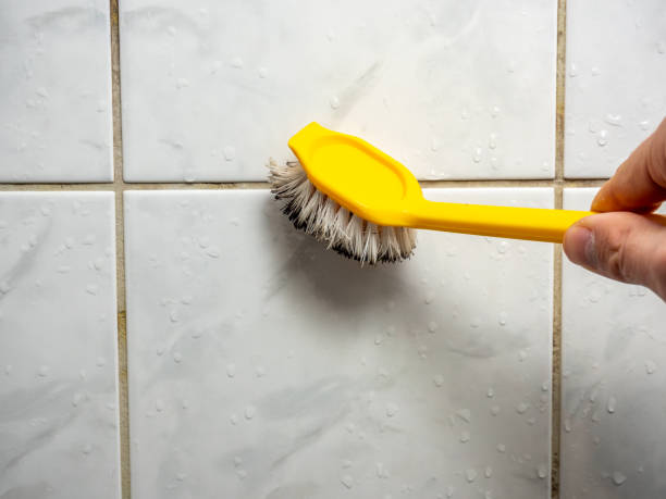 Best Mold Remediation  in Lake Stickney, WA
