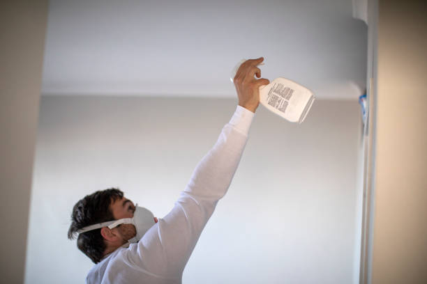 Best Toxic Mold Removal  in Lake Stickney, WA