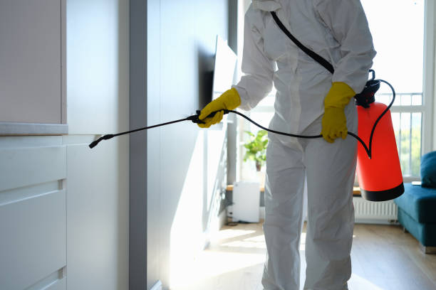 Crawl Space Mold Removal in Lake Stickney, WA