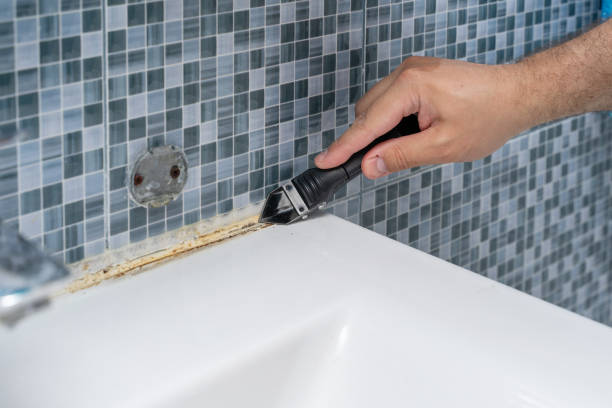  Lake Stickney, WA Mold Removal Pros